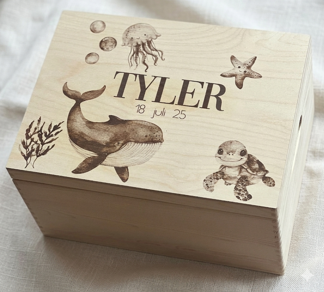 Gemini_Generated_Image_c4ds40c4ds40c4ds