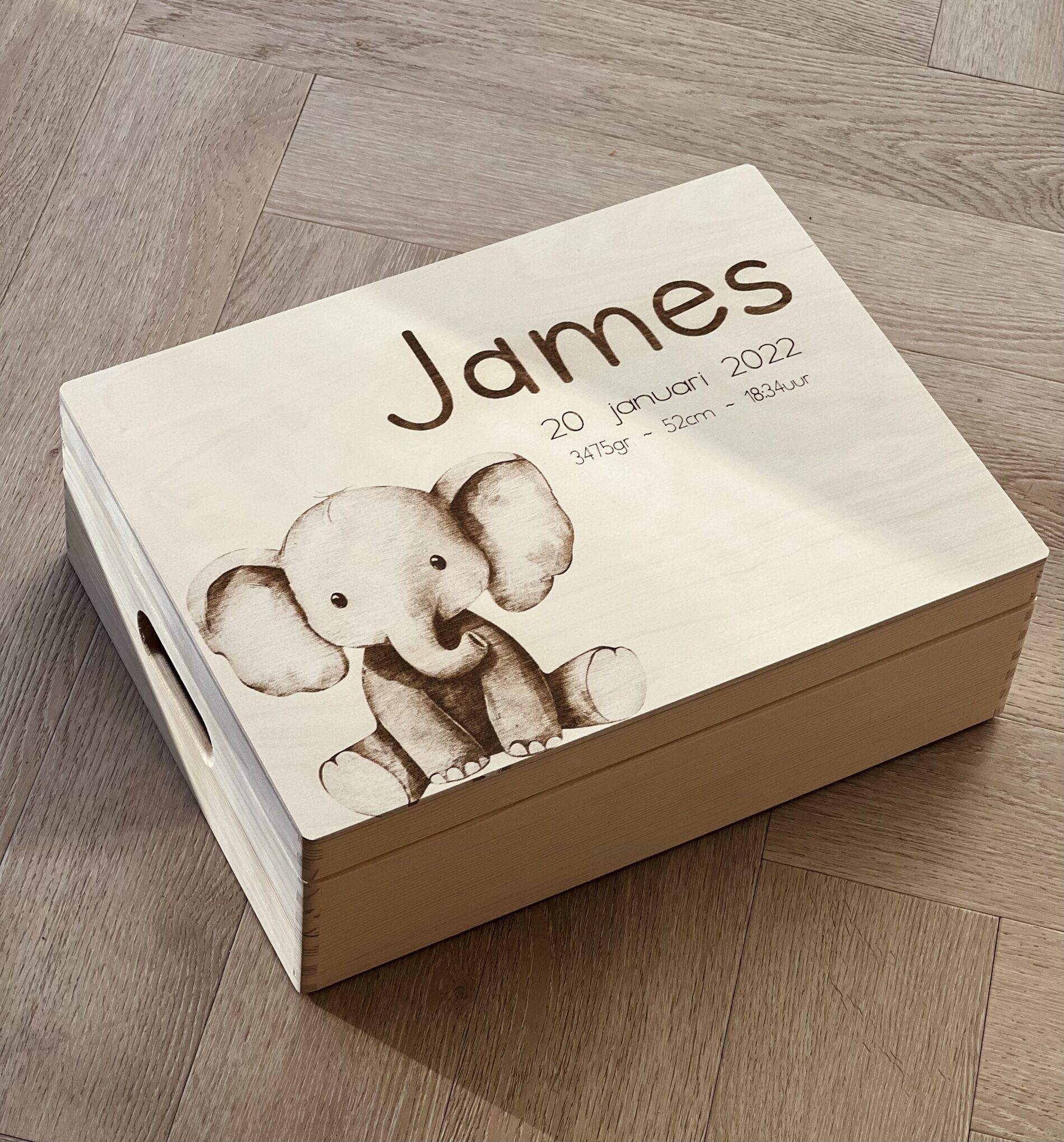 Geboortebox Olifant