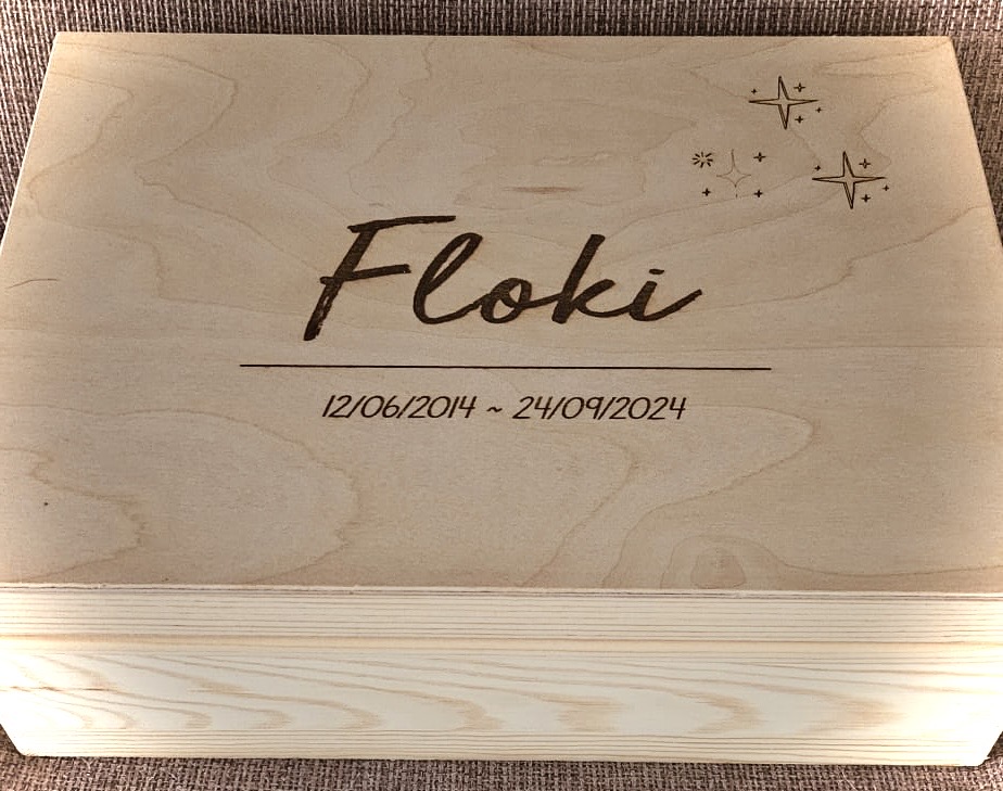 d2081ef6-e872-4443-b5e1-be0b3132a7c8