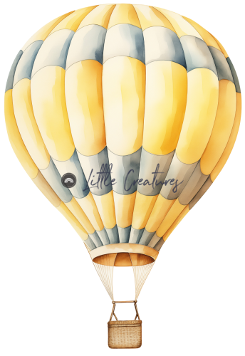 Ballon14