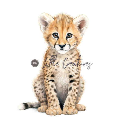 BabyCheetah