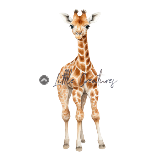BabyGiraffe