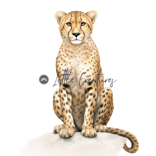 Cheetah2