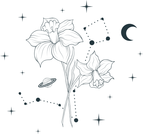 MAR X DAFFODIL