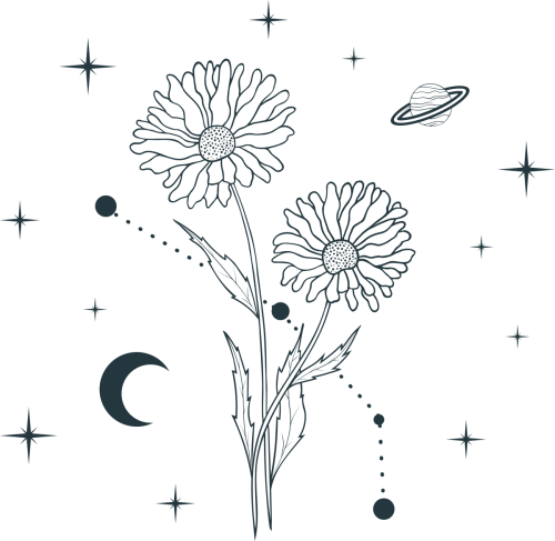 APR X DAISY