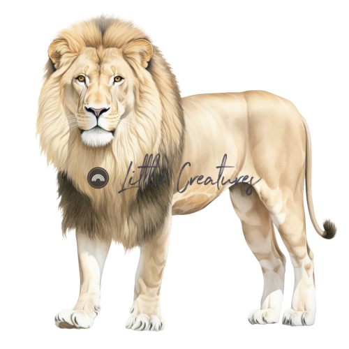 Lion1