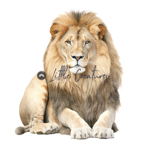 Lion2
