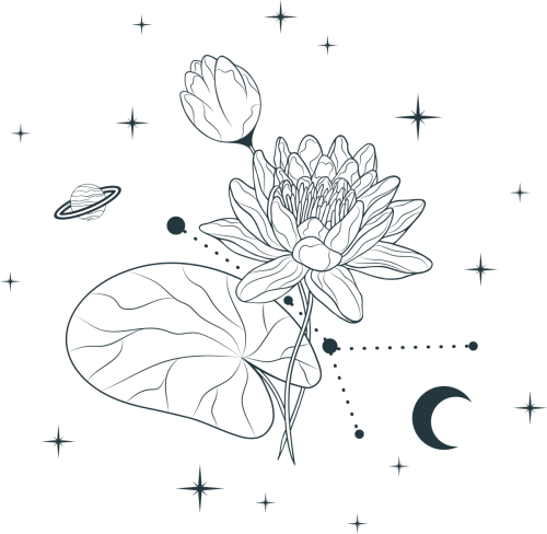 JUL X WATERLILY