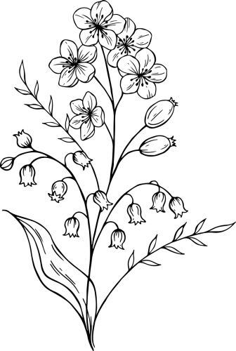 Mei-3