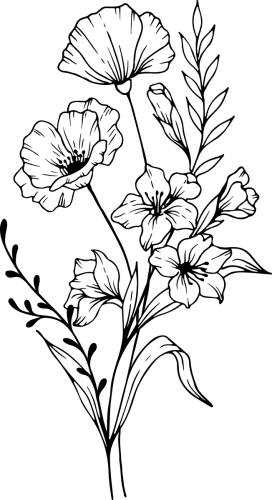 Augustus-3