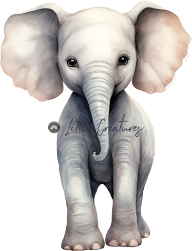 elephant33