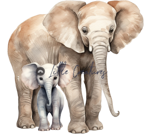 elephants111
