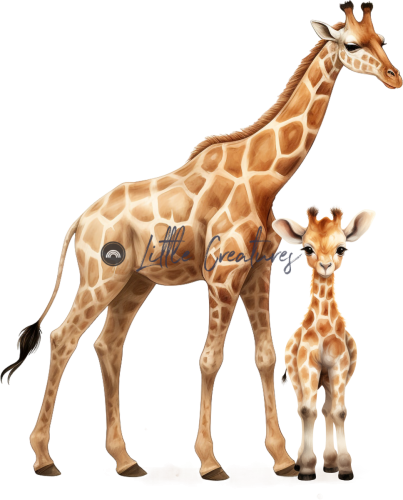 giraffes97