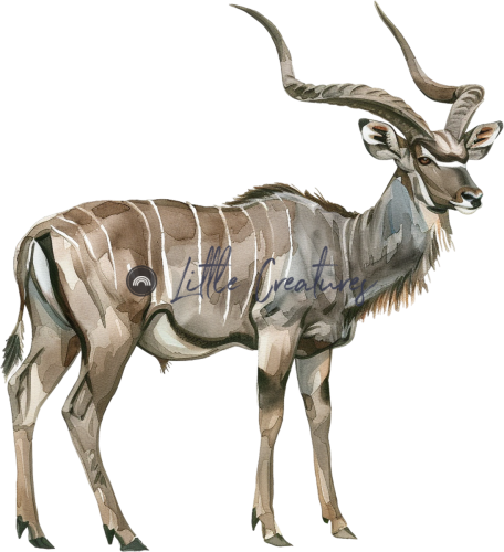 kudu1