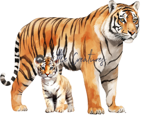 tigers